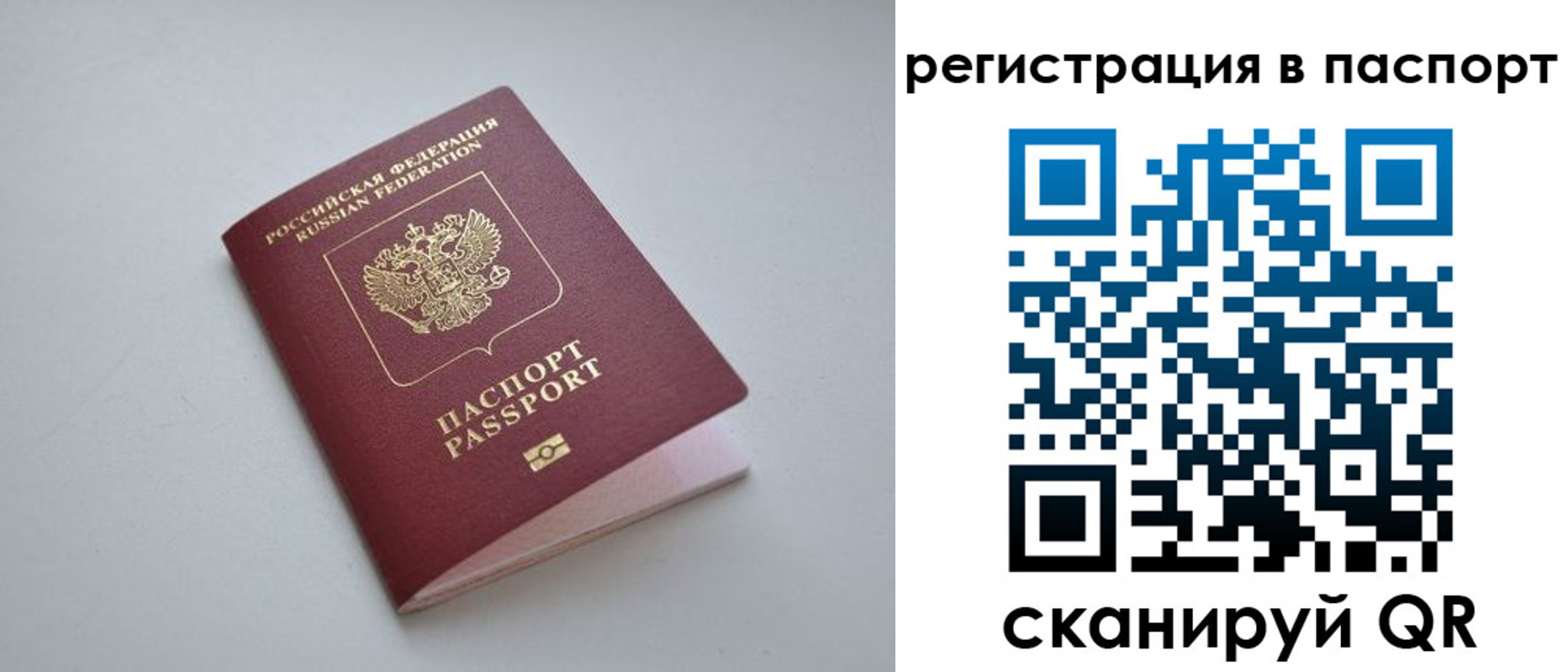 найти адрес прописки в Оленегорске